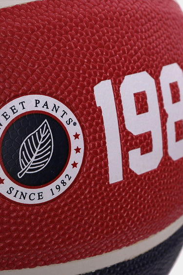 BASKET BALL BLEU ROUGE