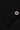 ICONIC TEE ML