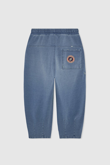 INDIGO BALLOON PRINT USED