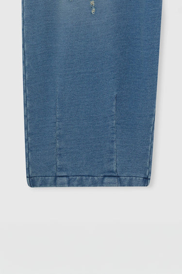 INDIGO BALLOON PRINT USED